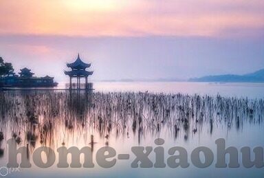 国产在线视频α麻豆-国产在线视频的多元尝试,国产α麻豆案例透视
